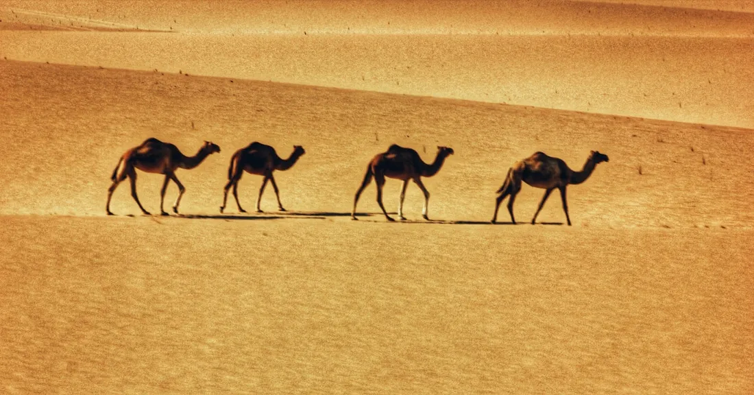 Landings, and the small mercies of light.