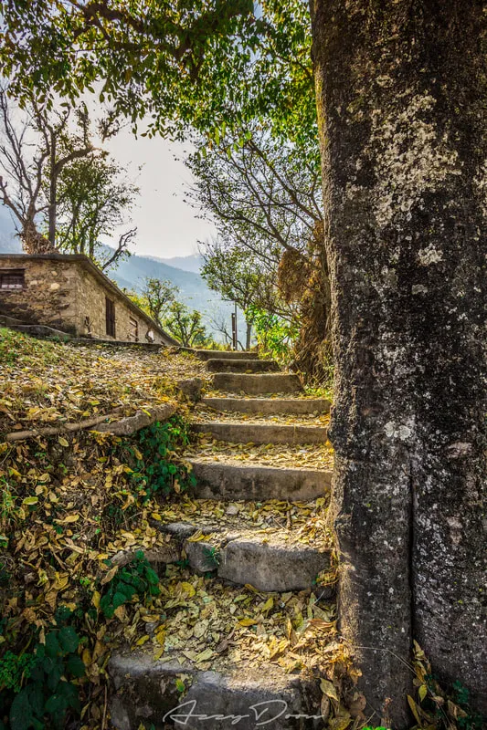 Marketplaces of colour, cathedrals of noise.